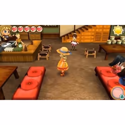 Marvelous Story of Seasons : Trio of Towns Standard Nintendo 3DS - Vue supplémentaire 5