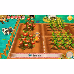 Marvelous Story of Seasons : Trio of Towns Standard Nintendo 3DS