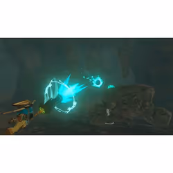 Nintendo The Legend of Zelda: Tears of the Kingdom Standard Chinois simplifié, Chinois traditionnel, Danois, Allemand, Anglais, Espagnol, Français, Italien, Japonais, Coréen, Russe Nintendo Switch - Vue supplémentaire 5
