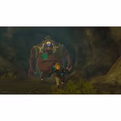 Nintendo The Legend of Zelda: Tears of the Kingdom Standard Chinois traditionnel, Allemand, Néerlandais, Anglais, Espagnol, Français, Italien, Japonais, Coréen, Russe Nintendo Switch - Vue supplémentaire 11