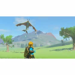 Nintendo The Legend of Zelda: Tears of the Kingdom Standard Chinois traditionnel, Allemand, Néerlandais, Anglais, Espagnol, Français, Italien, Japonais, Coréen, Russe Nintendo Switch - Vue supplémentaire 16