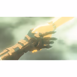 Nintendo The Legend of Zelda: Tears of the Kingdom Standard Chinois traditionnel, Allemand, Néerlandais, Anglais, Espagnol, Français, Italien, Japonais, Coréen, Russe Nintendo Switch - Vue supplémentaire 19