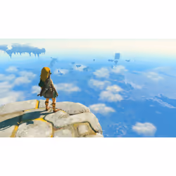 Nintendo The Legend of Zelda: Tears of the Kingdom Standard Chinois traditionnel, Allemand, Néerlandais, Anglais, Espagnol, Français, Italien, Japonais, Coréen, Russe Nintendo Switch - Vue supplémentaire 27