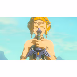 Nintendo The Legend of Zelda: Tears of the Kingdom Standard Chinois traditionnel, Allemand, Néerlandais, Anglais, Espagnol, Français, Italien, Japonais, Coréen, Russe Nintendo Switch - Vue supplémentaire 39