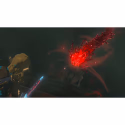 Nintendo The Legend of Zelda: Tears of the Kingdom Collector's Edition Collectionneurs Néerlandais, Anglais Nintendo Switch - Vue supplémentaire 19