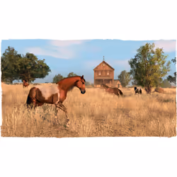 Rockstar Games Red Dead Redemption Standard Nintendo Switch