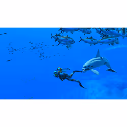 Nintendo Endless Ocean Luminous Standard Italien Nintendo Switch