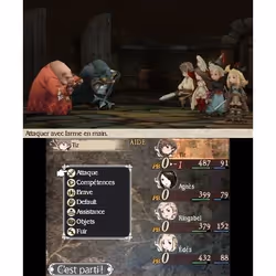 Nintendo Bravely Default, Nintendo 3DS, Support physique