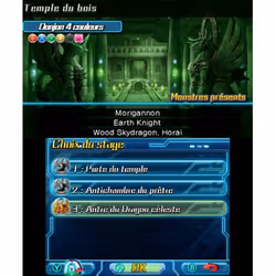 Nintendo Puzzle & Dragons Z + Puzzle & Dragons : Super Mario Bros. Edition Standard Allemand, Anglais, Espagnol, Français, Italien Nintendo 3DS - Vue supplémentaire 16