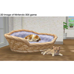 Nintendo Nintendogs + Cats Caniche Toy - Selects Sélectionne Allemand, Anglais, Espagnol, Français, Italien, Néerlandais, Portugais, Russe Nintendo 3DS