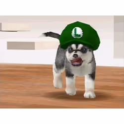 Nintendo Nintendogs Dachshund & Friends, NDS Nintendo DS - Vue supplémentaire 5