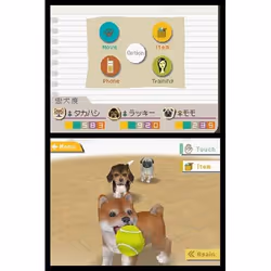 Nintendo Nintendogs Labrador Retriever & Friends Nintendo DS