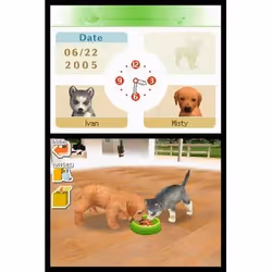 Nintendo Nintendogs Labrador Retriever & Friends Nintendo DS