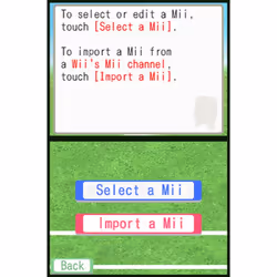 Nintendo Walk With Me!, NDS Nintendo DS