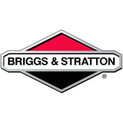 Filtre a Essence Briggs et Stratton - 84001895