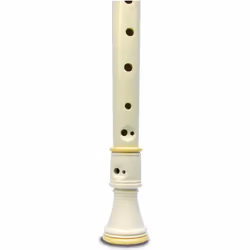 Bontempi RB 34.2 jouet musical