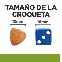 Hills 605884 pâtée pour chien Poulet, Bœuf Universel 12 kg - Vue supplémentaire 2