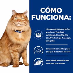 Hills 605680 nourriture humide pour chats 85 g - Vue supplémentaire 4