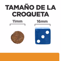 Hills 605882 pâtée pour chien Bœuf Universel 12 kg - Vue supplémentaire 2