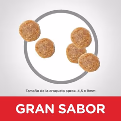 Hills 604176 croquette pour chat 10 kg Poulet, Bœuf