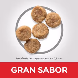 Hills 604321 Alimentation sèche pour chiens 6 kg Poulet, Bœuf