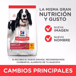 Hills 604354 Alimentation sèche pour chiens 14 kg Poulet, Bœuf - Vue supplémentaire 4