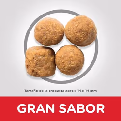 Hills 604387 Alimentation sèche pour chiens 14 kg Poulet, Bœuf, Porc - Vue supplémentaire 3