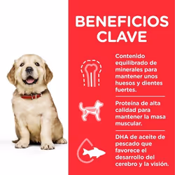 Hills 604387 Alimentation sèche pour chiens 14 kg Poulet, Bœuf, Porc - Vue supplémentaire 4