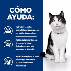 Hills 605883 nourriture humide pour chats 1,5 kg