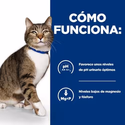 Hills 605897 nourriture humide pour chats 3 kg - Vue supplémentaire 4