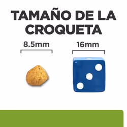 Hills 605940 croquette pour chat 3 kg Poulet, Bœuf - Vue supplémentaire 3