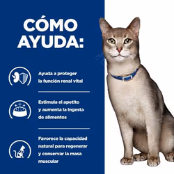 Hills 605986 nourriture humide pour chats 3 kg - Vue supplémentaire 3