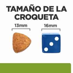 Hills 605942 Alimentation sèche pour chiens 12 kg Poulet, Bœuf