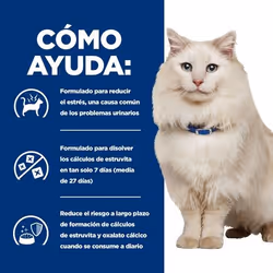 Hills 605980 nourriture humide pour chats 1,5 kg