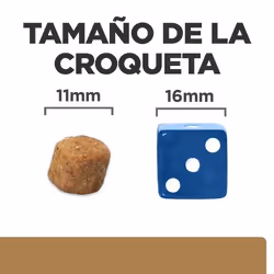 Hills 606275 pâtée pour chien Bœuf Universel 12 kg - Vue supplémentaire 2
