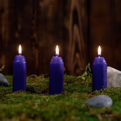 UCO L-CAN3PK-C bougie en cire Cylindre Violet 3 pièce(s)