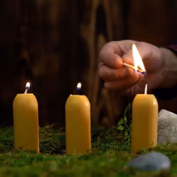 UCO 12-Hour Beeswax Candles bougie en cire Cylindre Naturel 3 pièce(s)