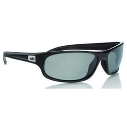 Lunettes Bollé Anaconda TNS