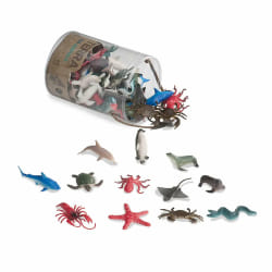 Animals de la Mer en Tube