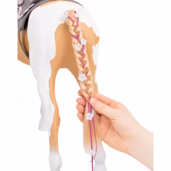 Buki Beige Et Blanc - Cheval 51 Cm