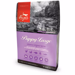 Orijen Puppy Large, Chiot, Poulet, Poisson, Dinde, 6 kg