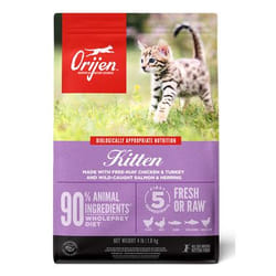 Orijen 0064992718862 croquette pour chat 1,8 kg Chatons Poisson, Volaille