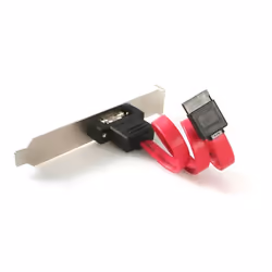 StarTech.com eSATA Cable with External Slot Plate câble SATA 0,3 m Noir