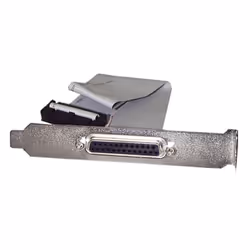 StarTech.com Nappe port parallèle DB25 femelle vers connecteur carte mère IDC 25 broches de 40 cm, DB-25, IDC, 0,4 m, Gris
