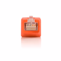 StarTech.com Adaptateur Gigabit Ethernet Cat 6 vers la répartition