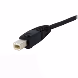 StarTech.com Câble de commutateur KVM DVI-D Dual Link USB 4 en 1 de 1,8 m avec audio et microphone - Vue supplémentaire 7