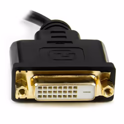 StarTech.com Adaptateur vidéo Mini HDMI vers DVI-D de 20 cm - Convertisseur Mini HDMI vers DVI - M/F - Noir