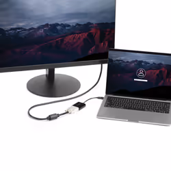 StarTech.com Adaptateur vidéo USB Type-C vers DVI - M/F - Noir - Vue supplémentaire 5