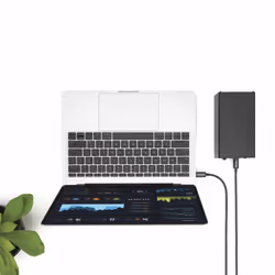 StarTech.com Câble Thunderbolt 3 (20 Gb/s) USB-C de 2 m - Compatible Thunderbolt, USB et DisplayPort - M/M - Vue supplémentaire 4