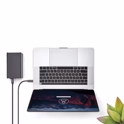 StarTech.com Câble Thunderbolt 3 de 2 m avec Power Delivery 100 W - 40 Gbps - Vue supplémentaire 5